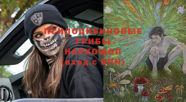 амф Алзамай